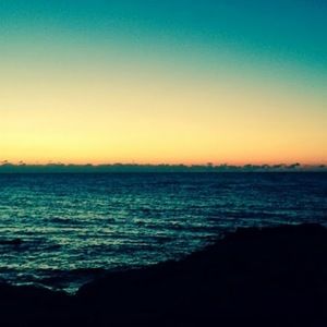 Meet your Posher, Lynn